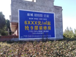 苍南品牌公司青睐的墙体广告