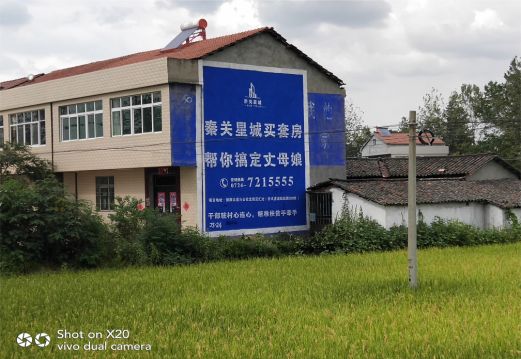 苍南决定墙体广告价格的因素有哪些?