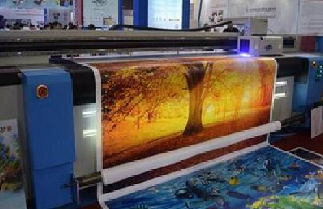 苍南写真有哪些介质？