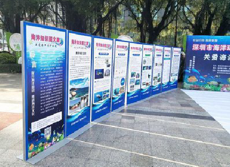 苍南KT板的种类和知识。